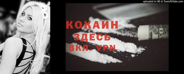сатива Верхний Тагил