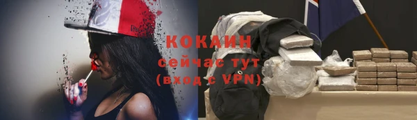 сатива Верхний Тагил