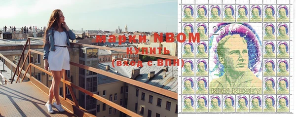 дмт Верея