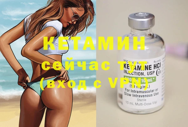 сатива Верхний Тагил