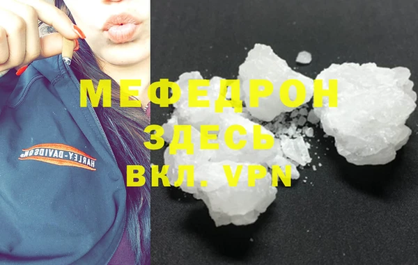 стаф Богданович
